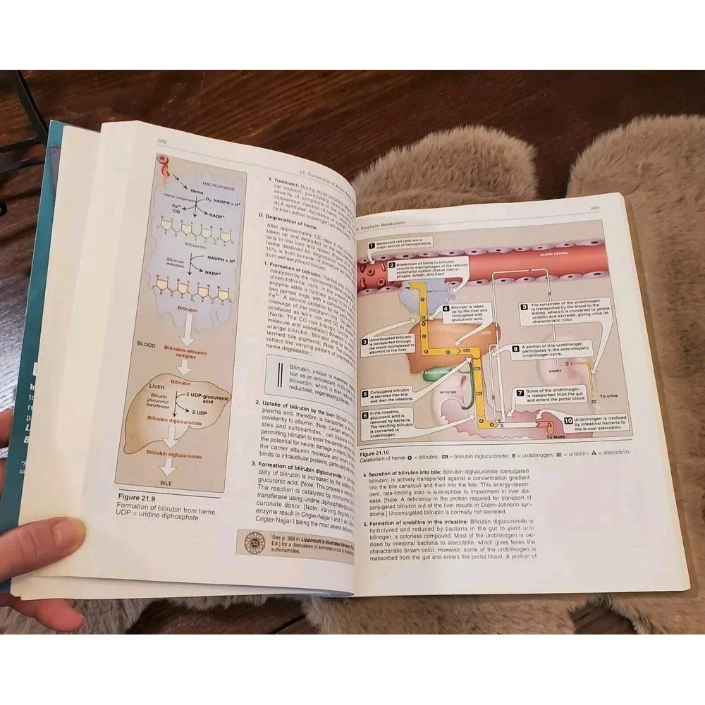 Lippincott Illustrated Reviews: 4th Biochemistry by Pamela C. Champe, Richard A.